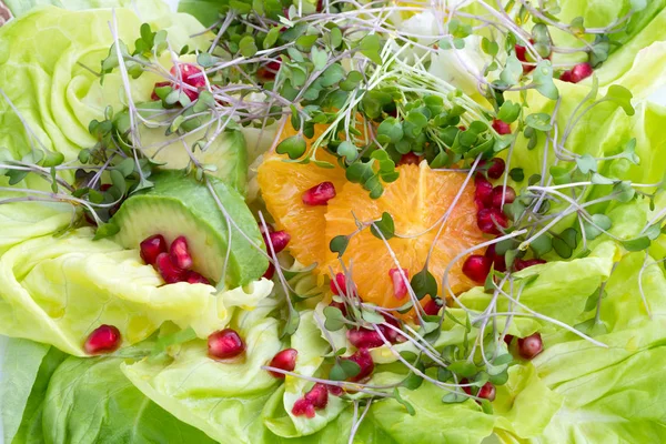Növényi saláta friss kelkáposzta és a brokkoli microgreens — Stock Fotó