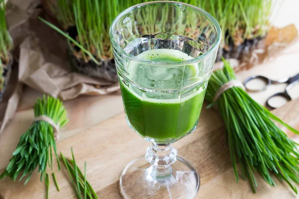 Ein Glas Weizengrassaft mit frisch geerntetem Weizengras — Stockfoto