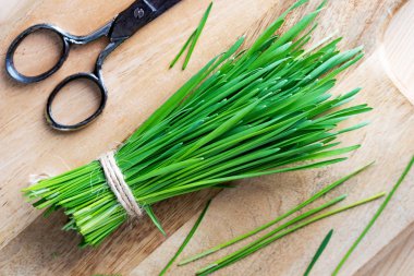 Taze buğday çimi ve makaslar ahşap kesme tahtası