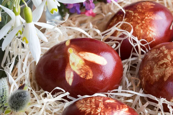 Пасхальные яйца окрашены луковой кожурой, с рисунком свежих трав — стоковое фото