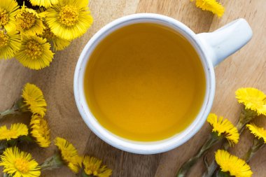 Coltsfoot (Tussilago farfara) çay taze coltsfoot çiçekli