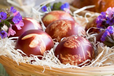 Paskalya yumurtaları Soğan kabuğu, bir desenle taze otlar ile boyalı