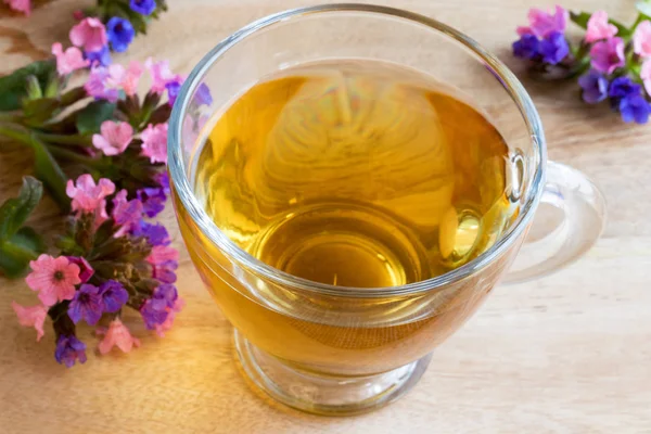 Легководный чай со свежими цветами сусла — стоковое фото