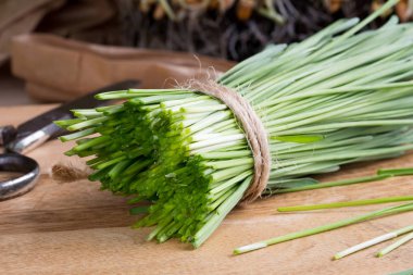 Bir tablo taze hasat buğday çimi bıçaklar