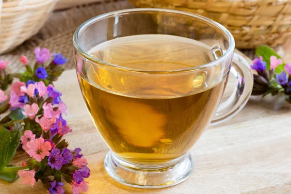 Чашка чая из сусла (легочной) со свежими цветами сусла — стоковое фото