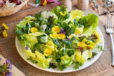 Salad with lettuce and wild edible plants clipart