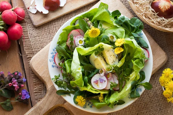 Vadon termő, ehető növények és a tojás saláta — Stock Fotó