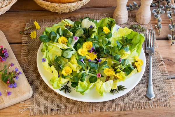 Saláta, földi bodza, martilapu, egyéb vadon élő növények — Stock Fotó