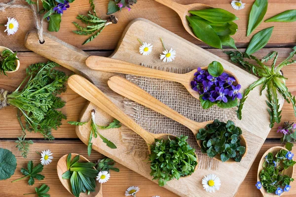 Hierbas silvestres comestibles de primavera sobre cucharas de madera —  Fotos de Stock