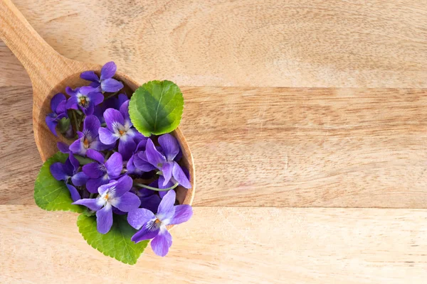 Bir tahta kaşık taze mor çiçekler — Stok fotoğraf