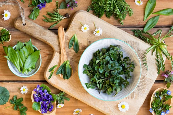 Plantas comestibles silvestres de primavera sobre una mesa de madera — Foto de Stock