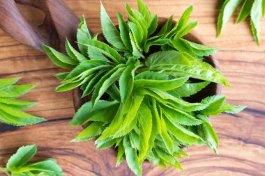 Genç bir tahta kaşık yaşlı yapraklarda yer