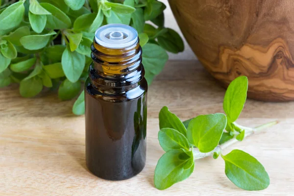 Una botella de aceite esencial de mejorana con ramitas de mejorana fresca — Foto de Stock