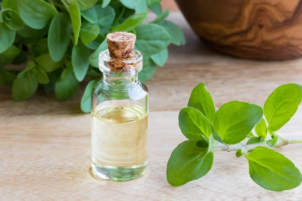 Een fles van marjolein etherische olie met verse Marjolein twijgen — Stockfoto