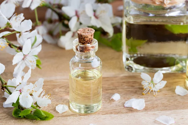 Bottle of essential oil with white blossoms — Stock Photo, Image