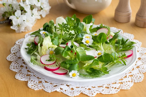 Kevätsalaatti chickweed, bedstraw ja yarrow — kuvapankkivalokuva