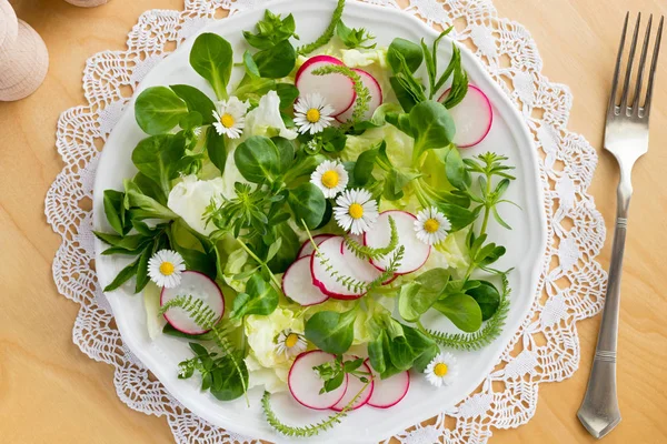 Lente salade met Vogelmuur, walstro en duizendblad — Stockfoto