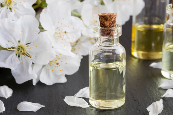 Flasche ätherisches Öl mit weißen Kirschblüten — Stockfoto