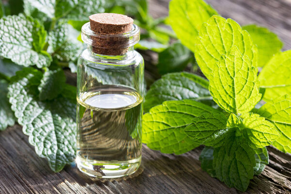 A bottle of essential oil with melissa twigs