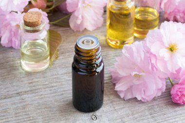 Bir şişe pembe kwanzan kiraz çiçekleri ile uçucu yağ