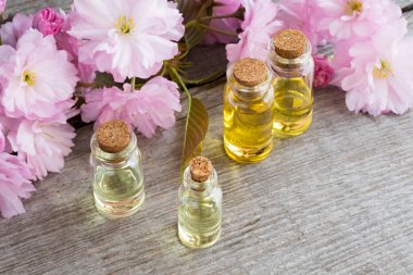 Şişe uçucu yağ pembe kwanzan kiraz çiçekleri ile