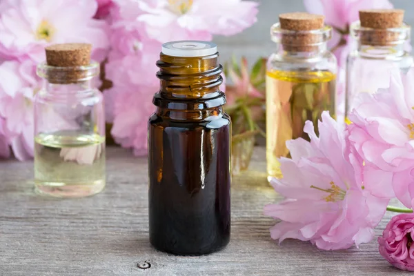 Een flesje etherische olie met roze kwanzan cherry blossoms — Stockfoto