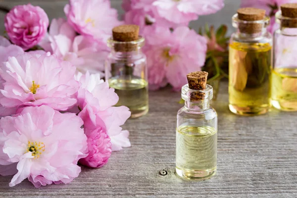 Flessen van etherische olie met roze kwanzan cherry blossoms — Stockfoto
