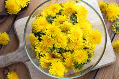 Bir kasede, üstten görünüm karahindiba çiçekler