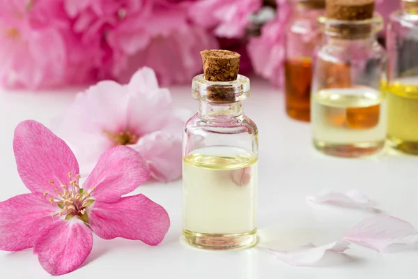 Butelka olejku z różowe kwiaty wiśni — Zdjęcie stockowe