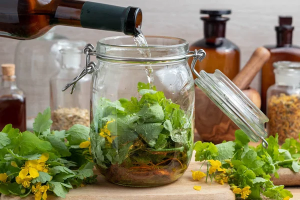 Beredning av hemmagjord lever tonic genom att hälla vin över större — Stockfoto