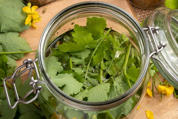 Un frasco de vidrio lleno de hojas frescas de celidonia y blanco — Foto de Stock