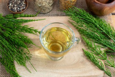Taze Equisetum arvense bitkisi ile bir fincan at kuyruğu çayı.