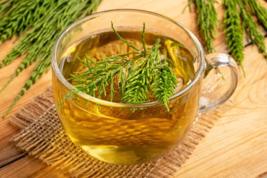 Taze Equisetum arvense bitkisi ile bir fincan at kuyruğu çayı.