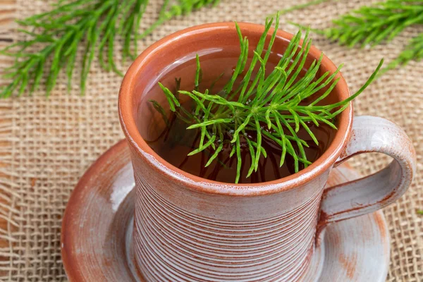 Uma xícara de chá de rabo de cavalo com planta arvense Equisetum fresca — Fotografia de Stock