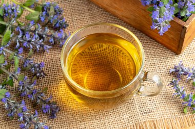 Mavi boru çay taze bitki ile