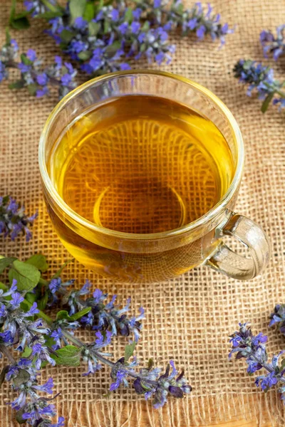 A cup of blue bugle tea with fresh plant — Stock Photo, Image