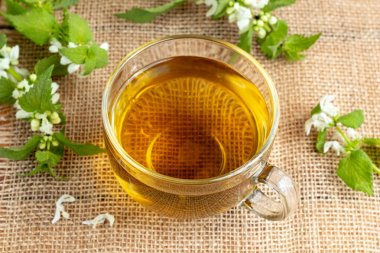 Beyaz ölüm-ısırgan çay taze çiçek açan bitki ile