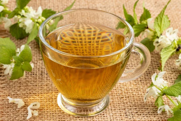 En kop hvid død brændenælde te med frisk blomstrende plante - Stock-foto