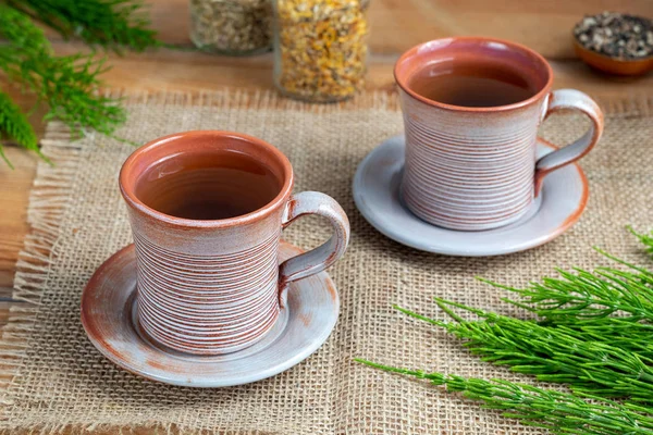 Två koppar åkerfräken te med färsk Equisetum arvense växt — Stockfoto