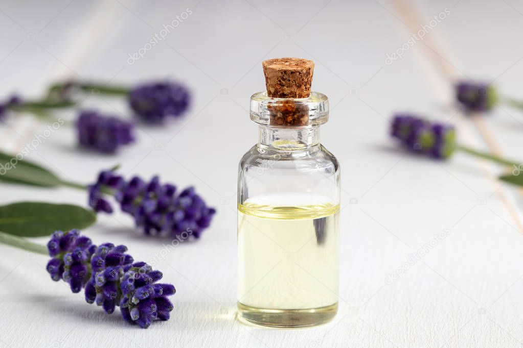 A bottle of essential oil with fresh blooming lavender twigs on a white background