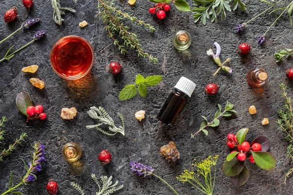 Bottles of essential oil with frankincense, dried rose hips, win — Stock Fotó