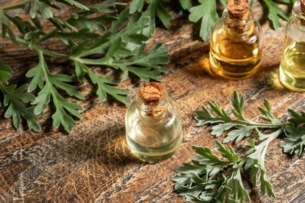 A bottle of wormwood essential oil with Artemisia Absinthium twi — Stock Photo, Image