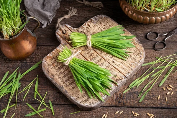 Dos manojos de hierba de cebada recién cultivada en una mesa — Foto de Stock