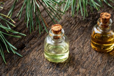 Çam dalları olan bir şişe gerekli yağ.