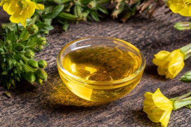 Bir kase çuha çiçeği yağı ve taze akşam çiçekleri.