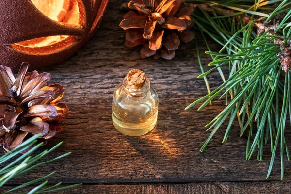 Бутылка соснового эфирного масла со свежими сосновыми ветвями — стоковое фото