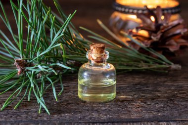 Taze çam dalları olan bir şişe çam yağı.