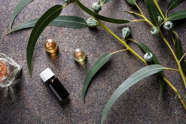 Пляшки ефірної олії зі свіжими гілочками евкаліпта — стокове фото