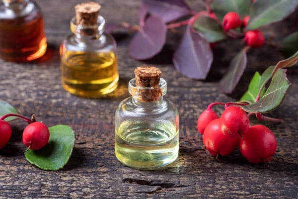 Una botella de aceite esencial de verdor invernal con bayas de verdor invernal — Foto de Stock