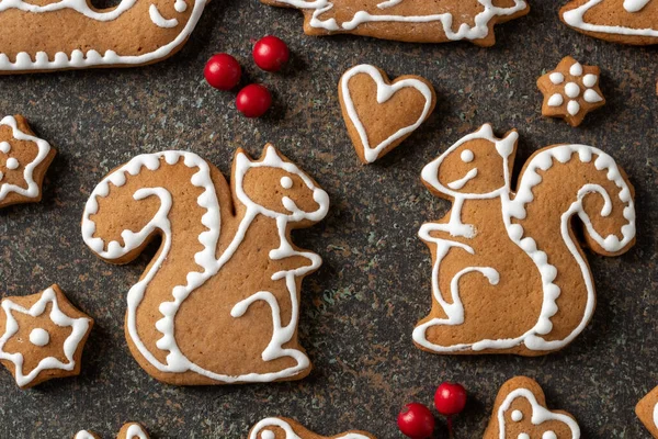 以松鼠为形式的自制圣诞姜饼 — 图库照片